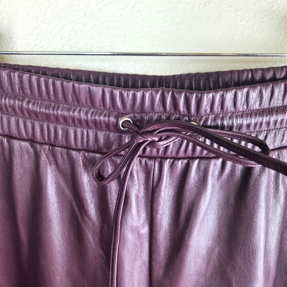 Women's LOFT Faux Purple Leather Chic Stretchy Pants Size XL - Picture 7 of 10